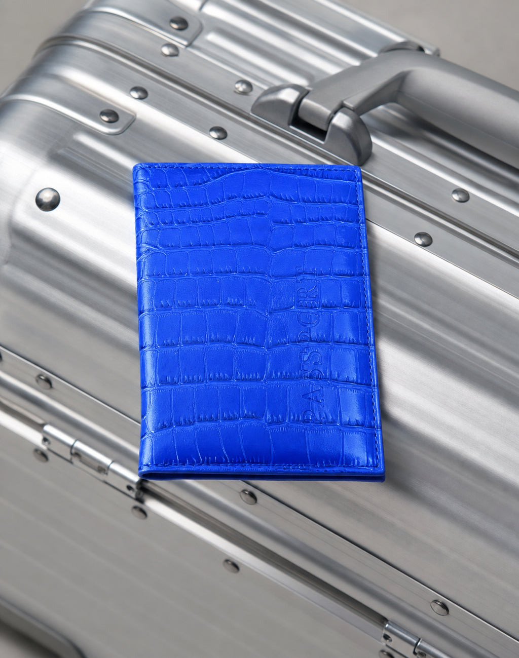 The Passport Holder